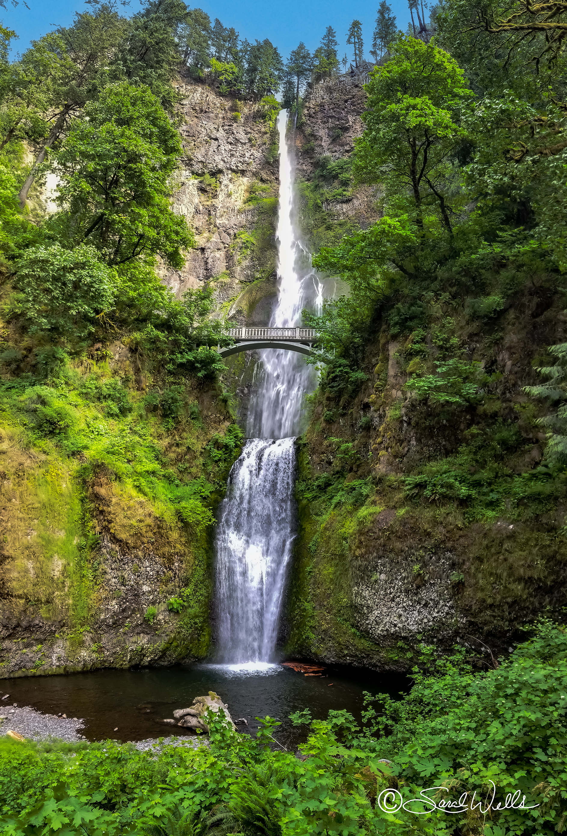 Multnomah Falls image