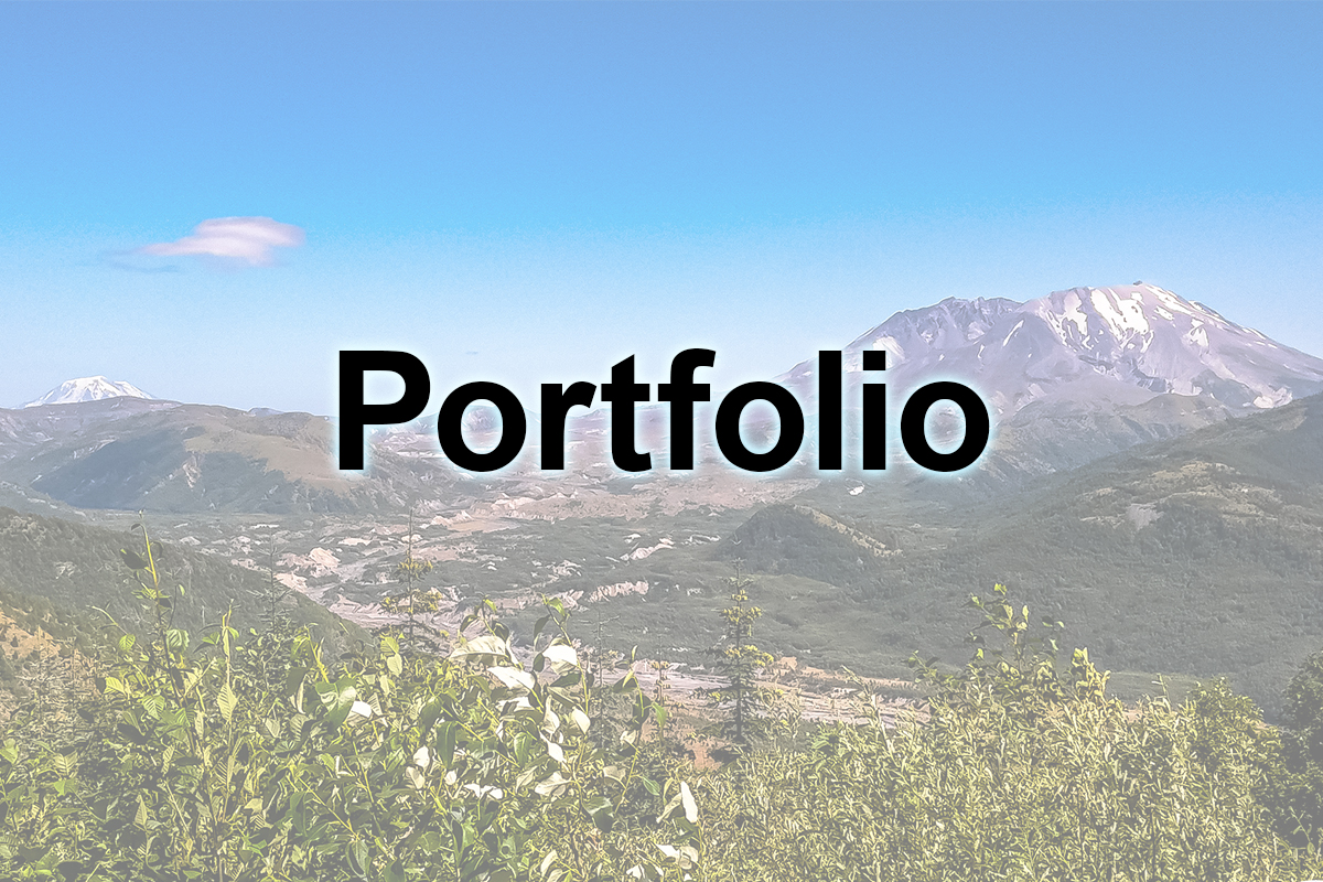 Portfolio Image Link